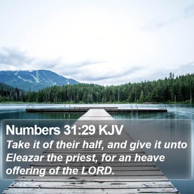 Numbers 31:29 KJV Bible Verse Image