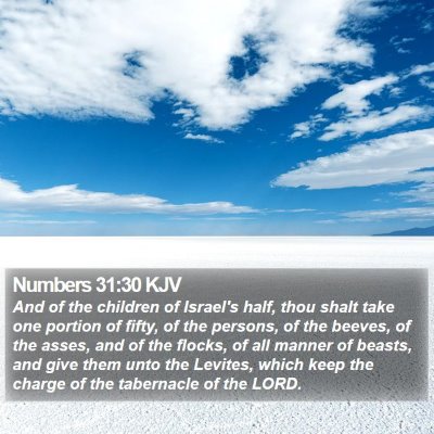Numbers 31:30 KJV Bible Verse Image