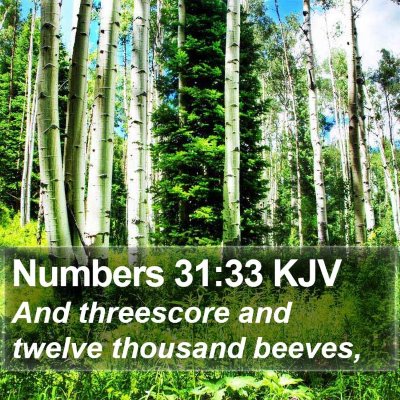 Numbers 31:33 KJV Bible Verse Image