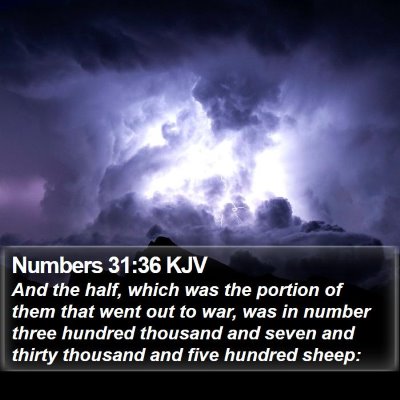Numbers 31:36 KJV Bible Verse Image