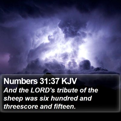 Numbers 31:37 KJV Bible Verse Image