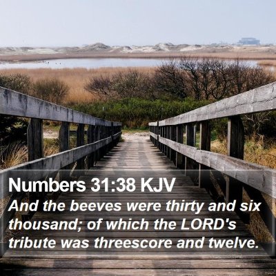 Numbers 31:38 KJV Bible Verse Image