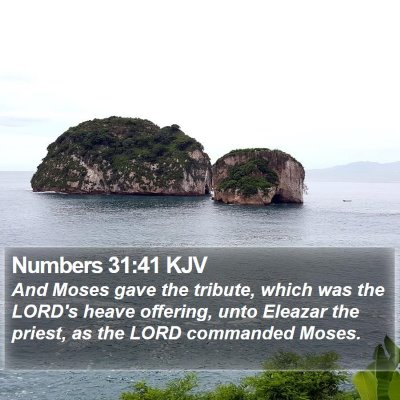 Numbers 31:41 KJV Bible Verse Image
