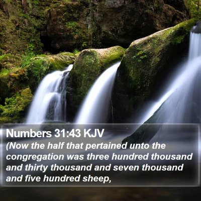 Numbers 31:43 KJV Bible Verse Image