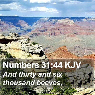 Numbers 31:44 KJV Bible Verse Image