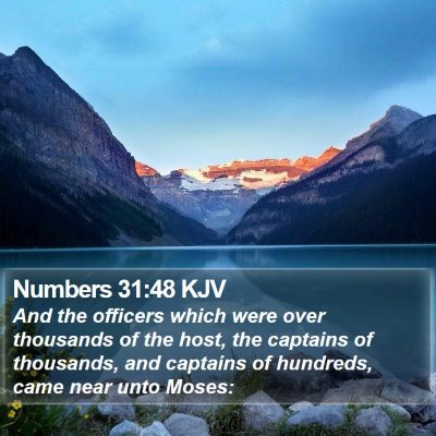 Numbers 31:48 KJV Bible Verse Image