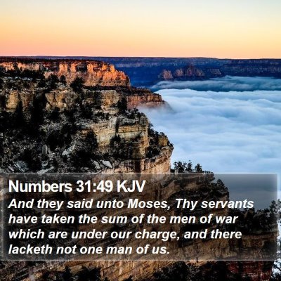 Numbers 31:49 KJV Bible Verse Image