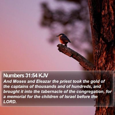 Numbers 31:54 KJV Bible Verse Image