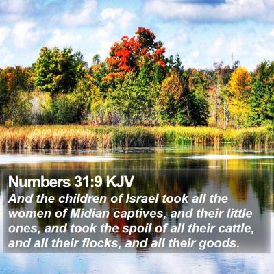 Numbers 31:9 KJV Bible Verse Image