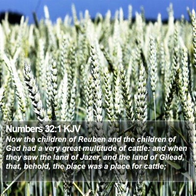 Numbers 32:1 KJV Bible Verse Image