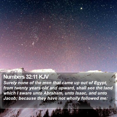 Numbers 32:11 KJV Bible Verse Image