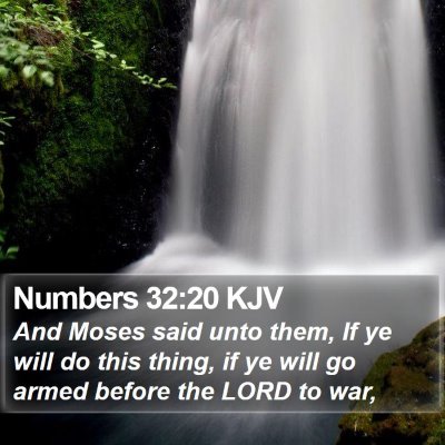 Numbers 32:20 KJV Bible Verse Image