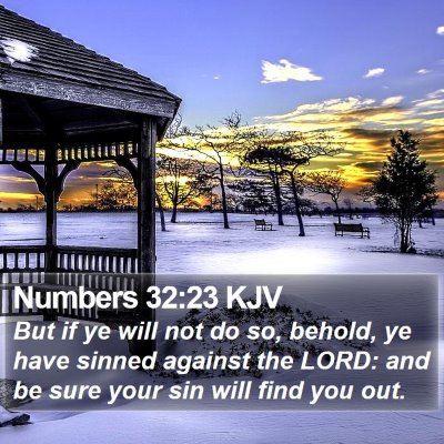 Numbers 32:23 KJV Bible Verse Image