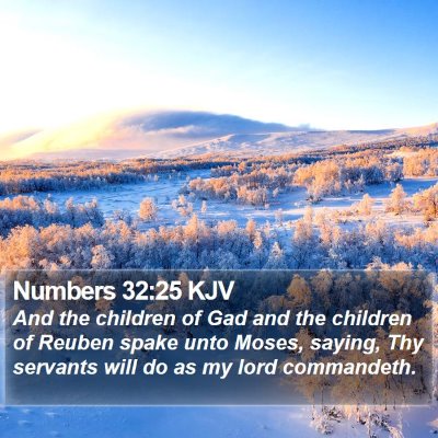 Numbers 32:25 KJV Bible Verse Image