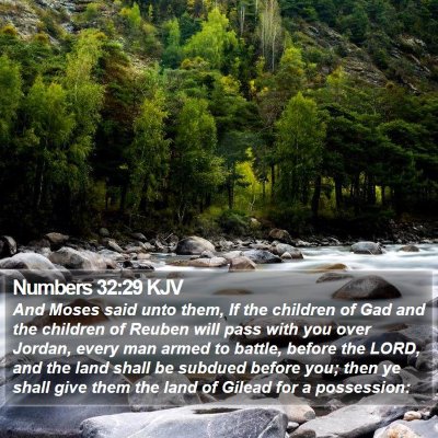 Numbers 32:29 KJV Bible Verse Image