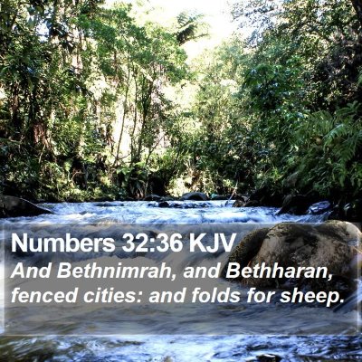 Numbers 32:36 KJV Bible Verse Image