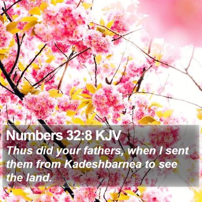 Numbers 32:8 KJV Bible Verse Image