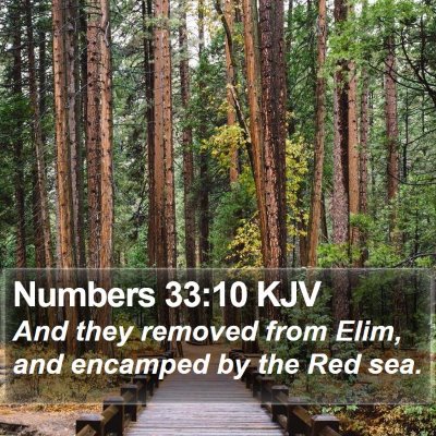 Numbers 33:10 KJV Bible Verse Image