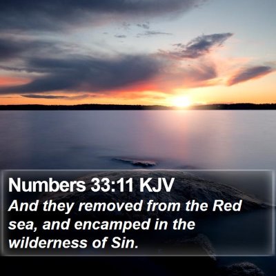 Numbers 33:11 KJV Bible Verse Image