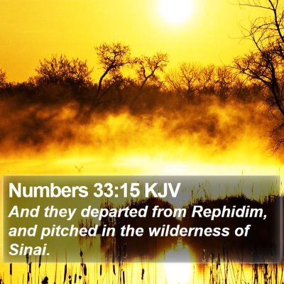 Numbers 33:15 KJV Bible Verse Image