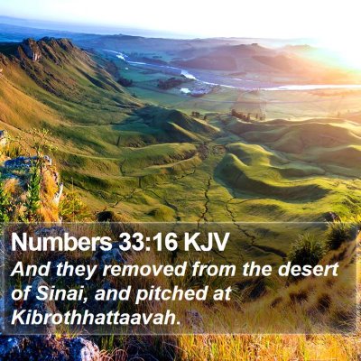 Numbers 33:16 KJV Bible Verse Image