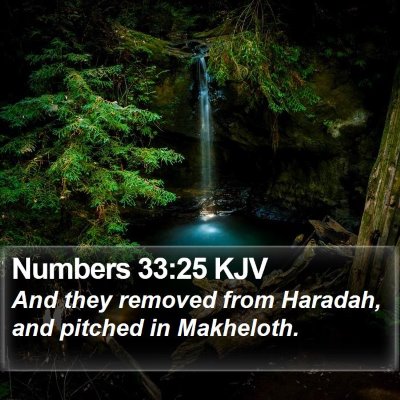 Numbers 33:25 KJV Bible Verse Image