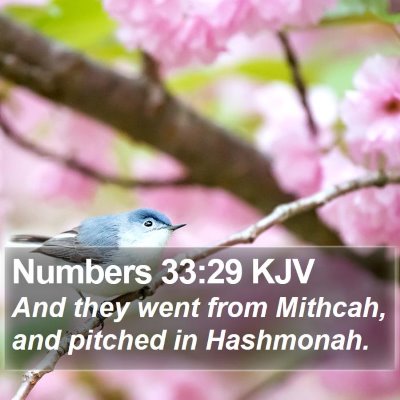 Numbers 33:29 KJV Bible Verse Image