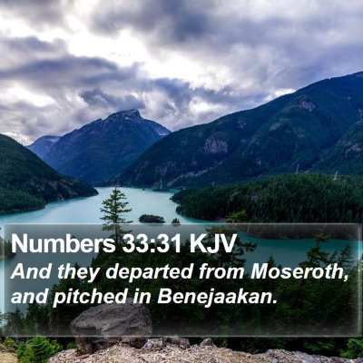 Numbers 33:31 KJV Bible Verse Image