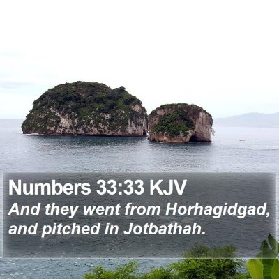 Numbers 33:33 KJV Bible Verse Image