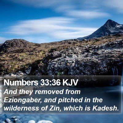 Numbers 33:36 KJV Bible Verse Image