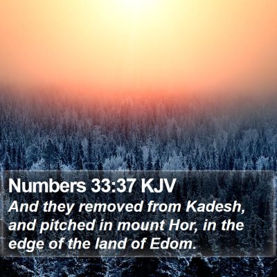 Numbers 33:37 KJV Bible Verse Image