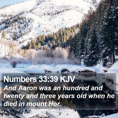 Numbers 33:39 KJV Bible Verse Image