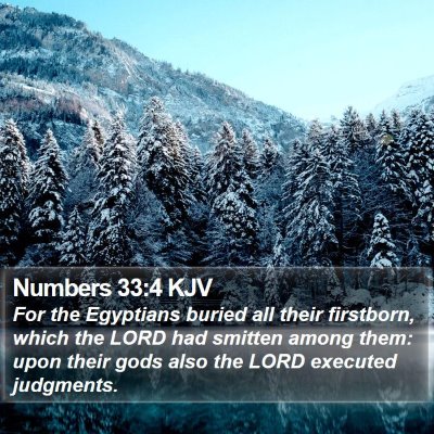 Numbers 33:4 KJV Bible Verse Image