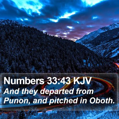 Numbers 33:43 KJV Bible Verse Image