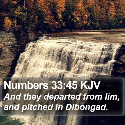 Numbers 33:45 KJV Bible Verse Image