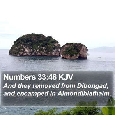 Numbers 33:46 KJV Bible Verse Image