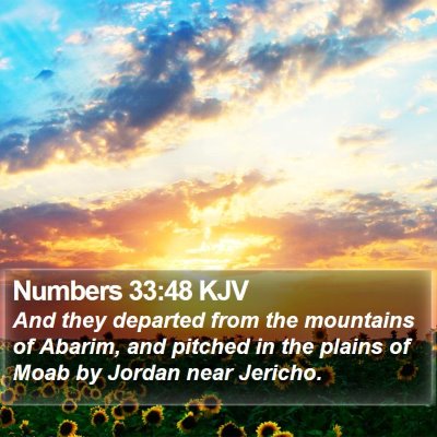Numbers 33:48 KJV Bible Verse Image