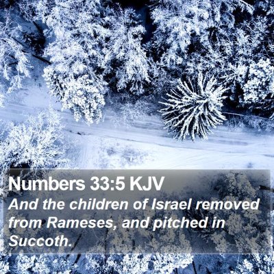 Numbers 33:5 KJV Bible Verse Image