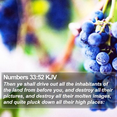 Numbers 33:52 KJV Bible Verse Image
