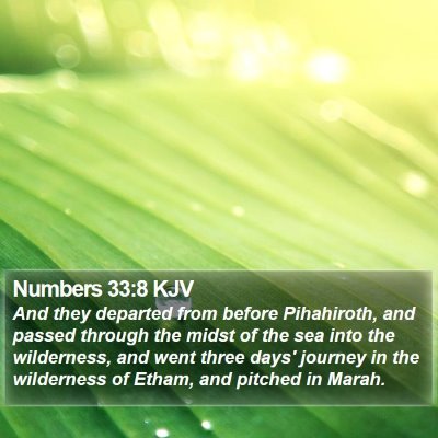 Numbers 33:8 KJV Bible Verse Image