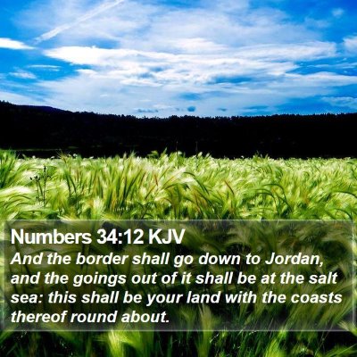 Numbers 34:12 KJV Bible Verse Image