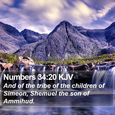 Numbers 34:20 KJV Bible Verse Image