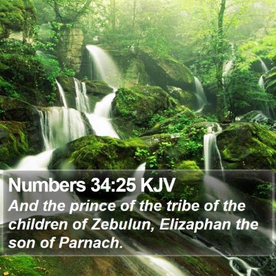 Numbers 34:25 KJV Bible Verse Image