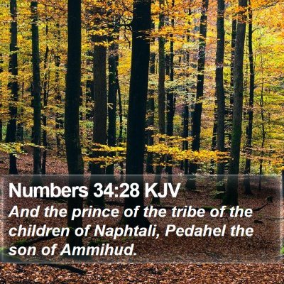 Numbers 34:28 KJV Bible Verse Image