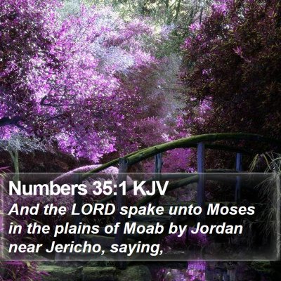 Numbers 35:1 KJV Bible Verse Image