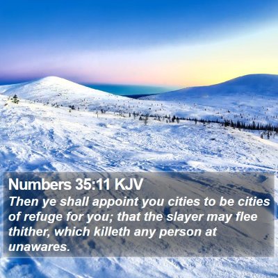 Numbers 35:11 KJV Bible Verse Image
