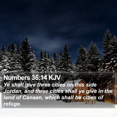 Numbers 35:14 KJV Bible Verse Image