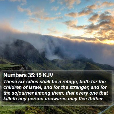 Numbers 35:15 KJV Bible Verse Image