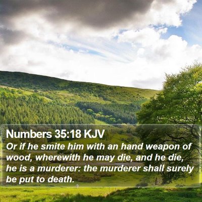 Numbers 35:18 KJV Bible Verse Image