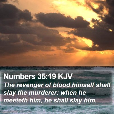 Numbers 35:19 KJV Bible Verse Image